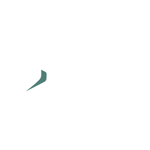 David Vega Consulting