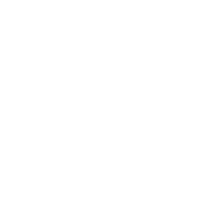 David Vega Consulting